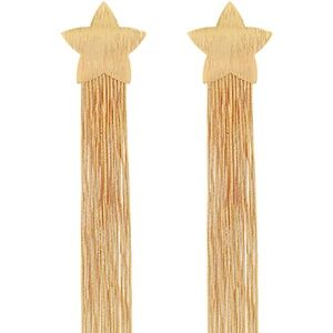 Multi Chain Fringe & Star Earrings